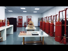 कंपनी के दैनिक वीडियो